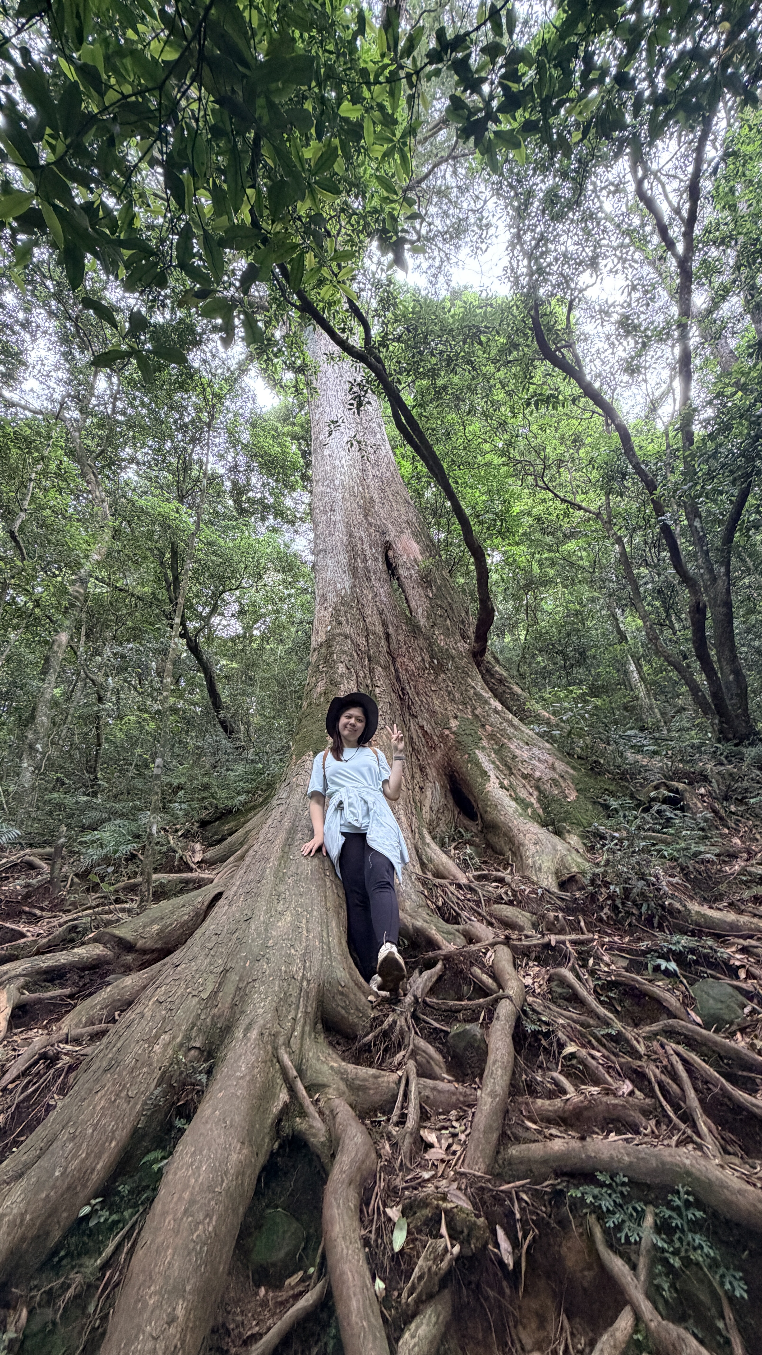 MUMU 莘境空間設計師楊莘湄於森林中的生活照